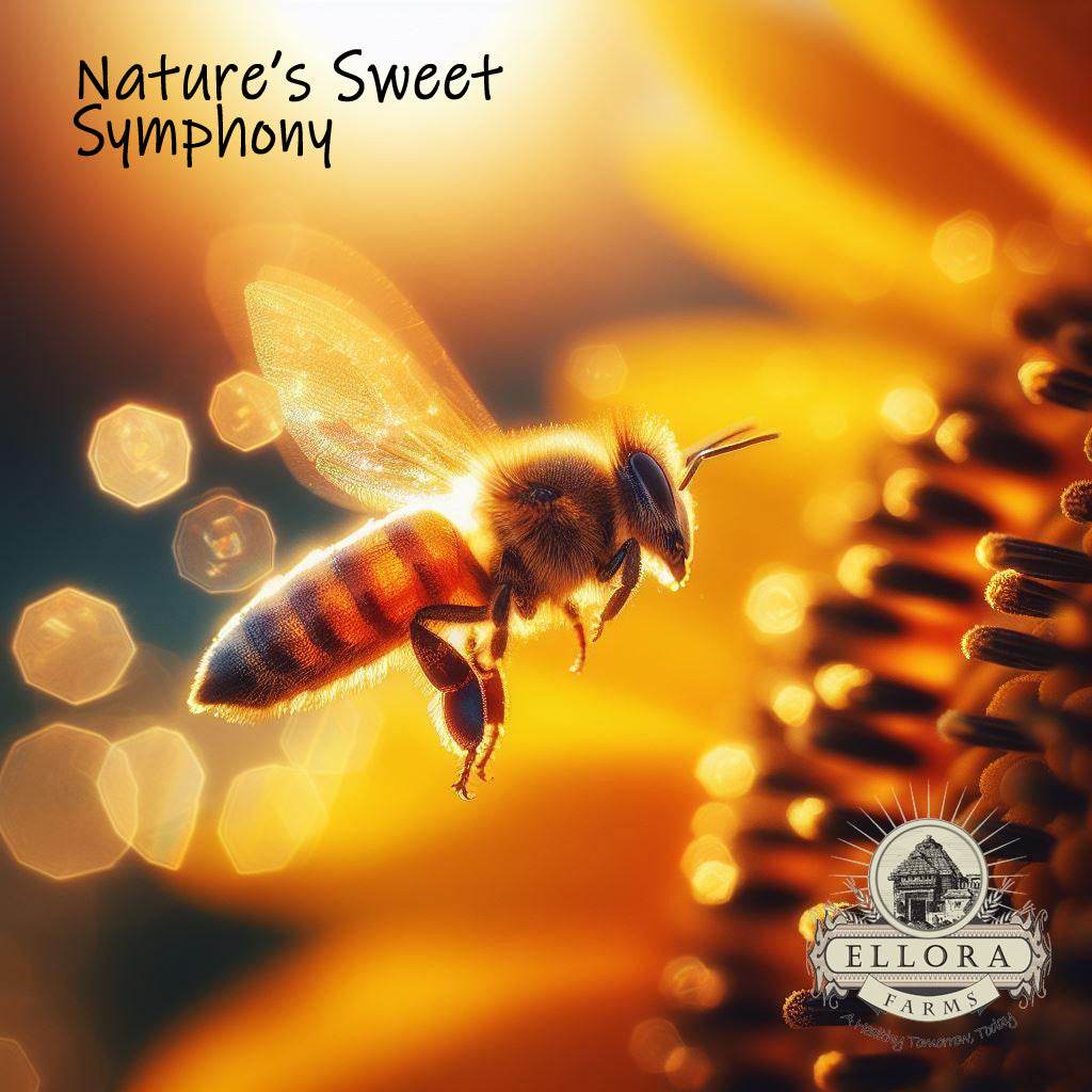 Beekeepers Reserve - ELLORA FARMS