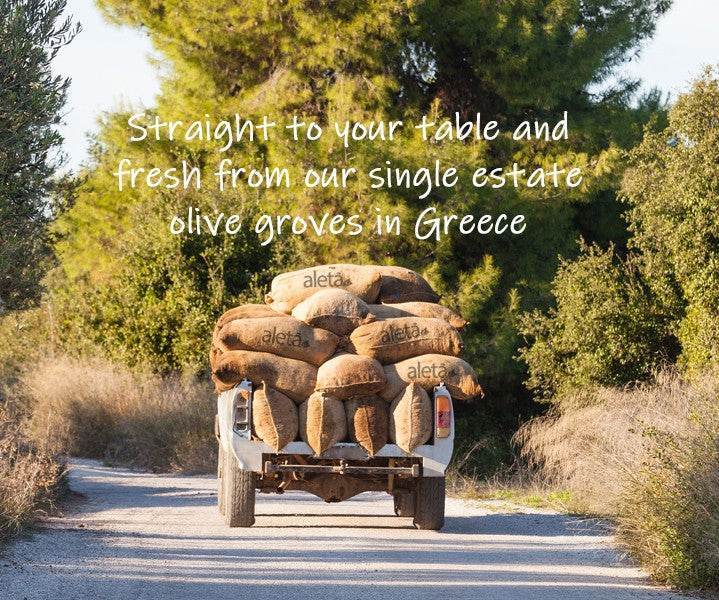 Aleta Organic & Ellora PDO Single Estate Extra Virgin Greek Olive Oil, 1 Ltr Tin, 33.8 oz. Combo - ELLORA FARMS