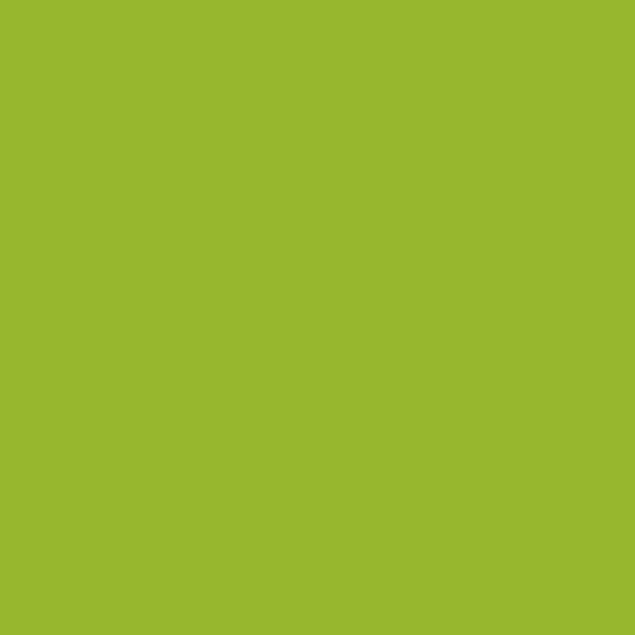 Rani Chef Pourer Green, Perfect for Oil, Vinegar or Wines, Snap On, Green - ELLORA FARMS