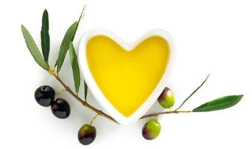 Treating the Olive Tree like Vines - ELLORA FARMS