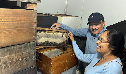 10 Great benefits of Raw Greek Honey - ELLORA FARMS
