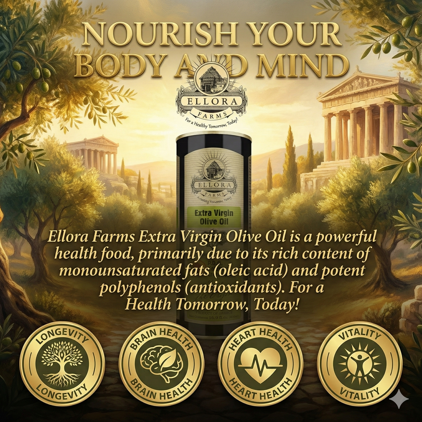 Single Estate PDO Greek Extra Virgin Olive Oil, Traceable, 16.9 Oz. Tin