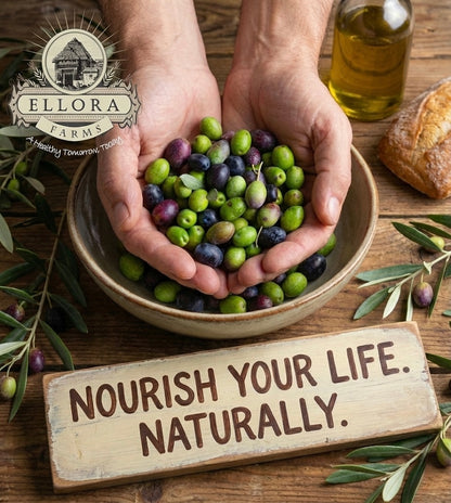 Aleta Organic & Ellora PDO Single Estate Extra Virgin Greek Olive Oil, 1 Ltr Tin, 33.8 oz. Combo