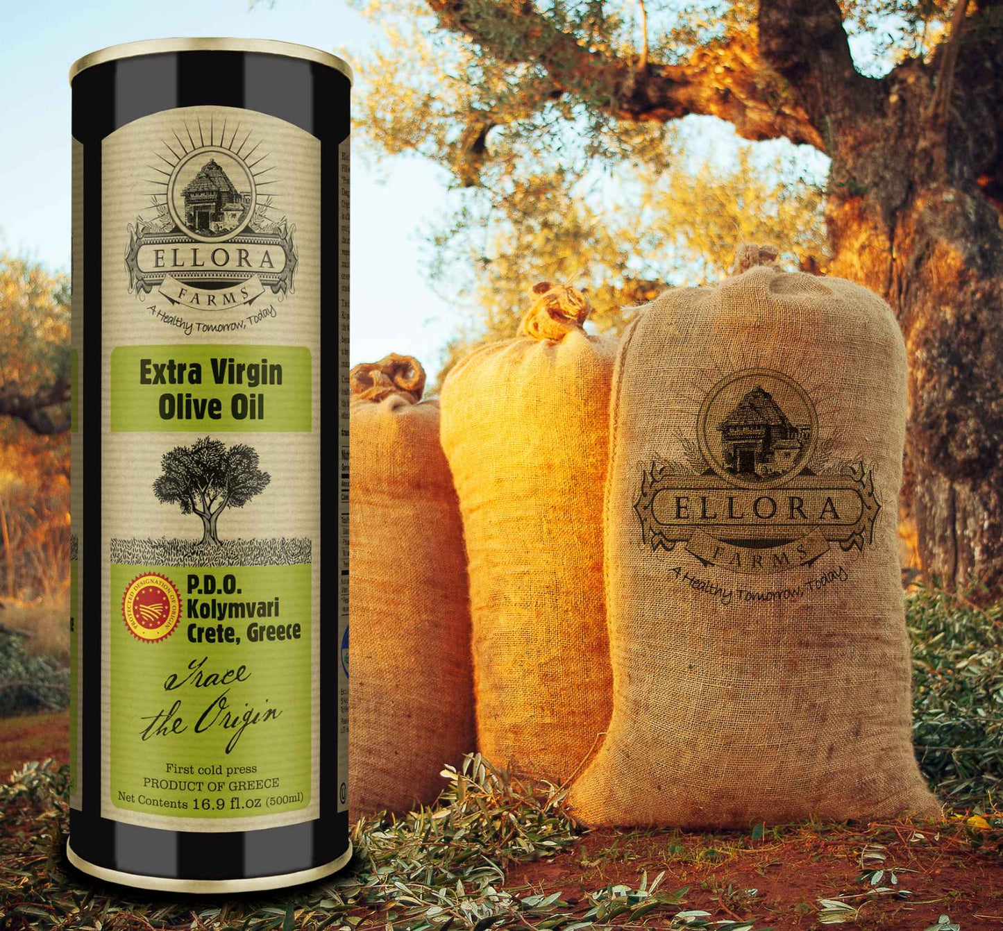 Single Estate PDO Greek Extra Virgin Olive Oil, Traceable, 16.9 Oz. Tin