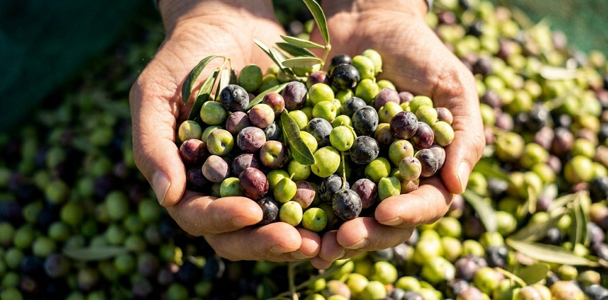 Ellora Farms