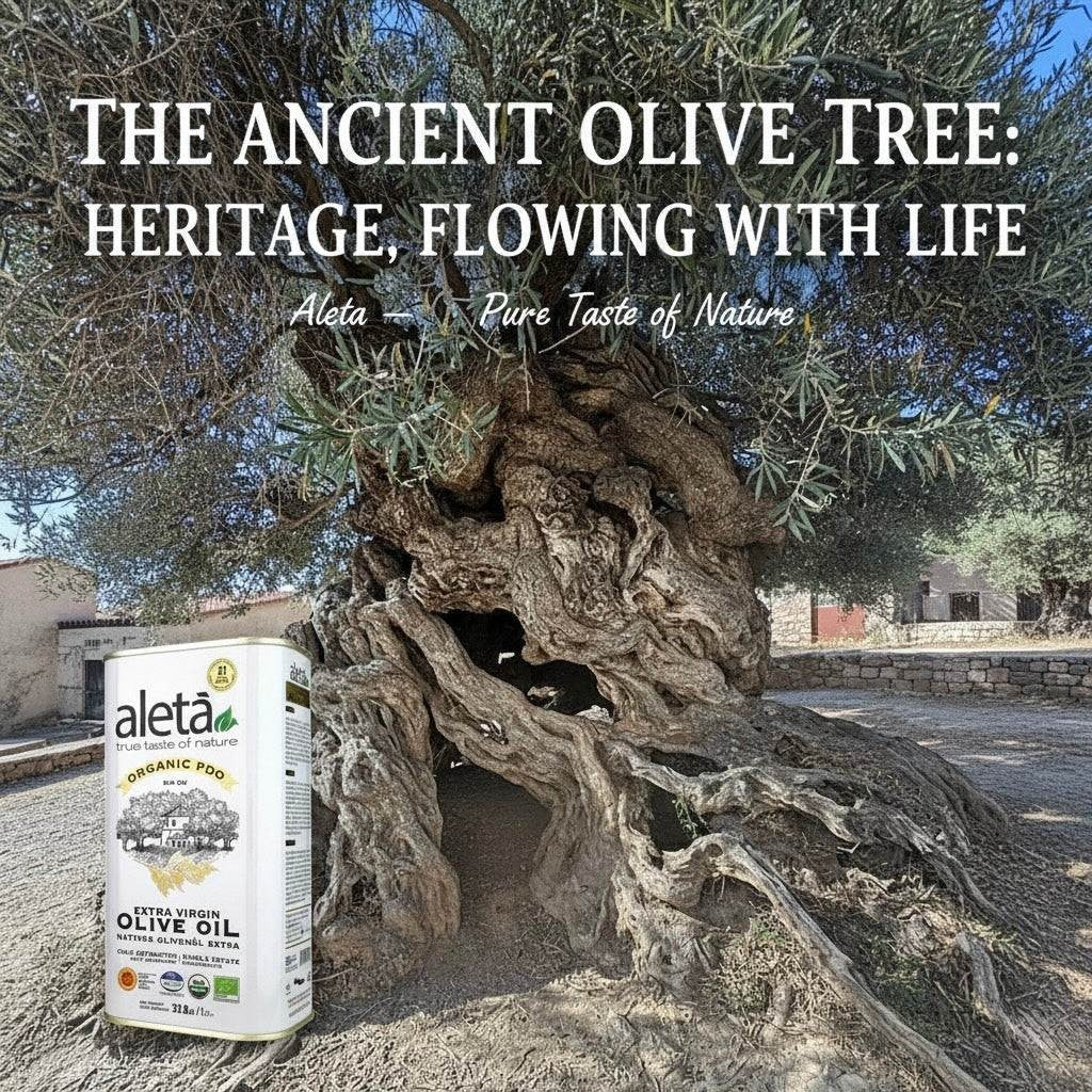 ELLORA FARMS Aleta organic PDO extra virgin olive oil tin placed in front of an ancient gnarled olive tree in Crete