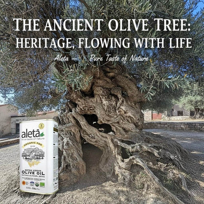 ELLORA FARMS Aleta organic PDO extra virgin olive oil tin placed in front of an ancient gnarled olive tree in Crete